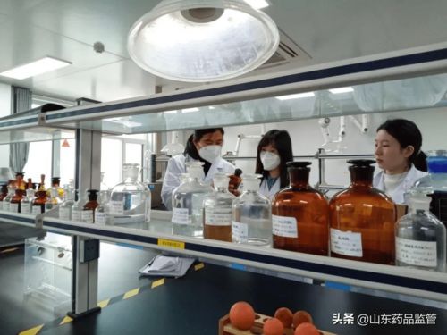 药品生产企业监督检查纪实 聚焦三家药企的生产合规性