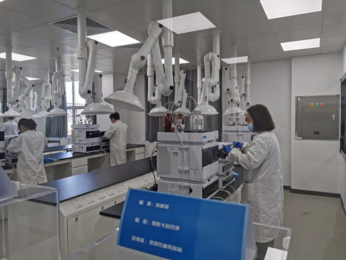 枣庄峄城 博瑞呼吸原料药投产，国产替代迈出关键一步